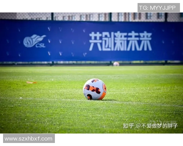 中国足球人口现状与发展潜力分析探索青少年参与的重要性与未来前景