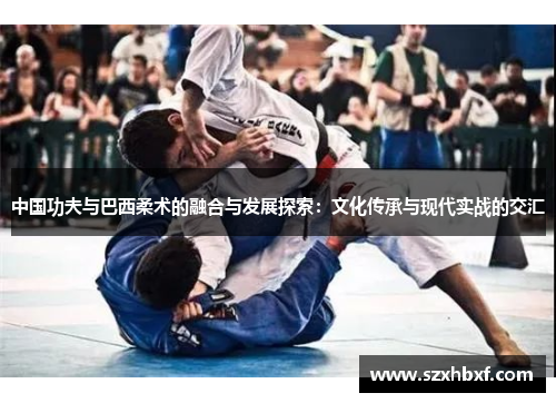 中国功夫与巴西柔术的融合与发展探索：文化传承与现代实战的交汇
