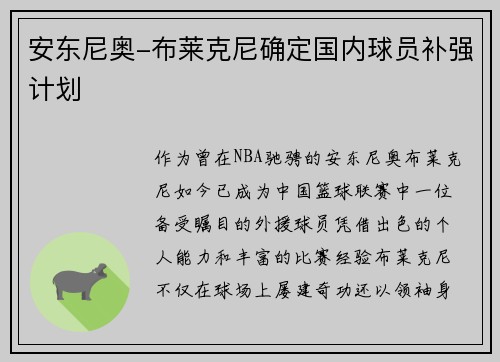 安东尼奥-布莱克尼确定国内球员补强计划