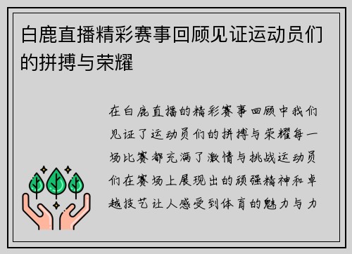白鹿直播精彩赛事回顾见证运动员们的拼搏与荣耀